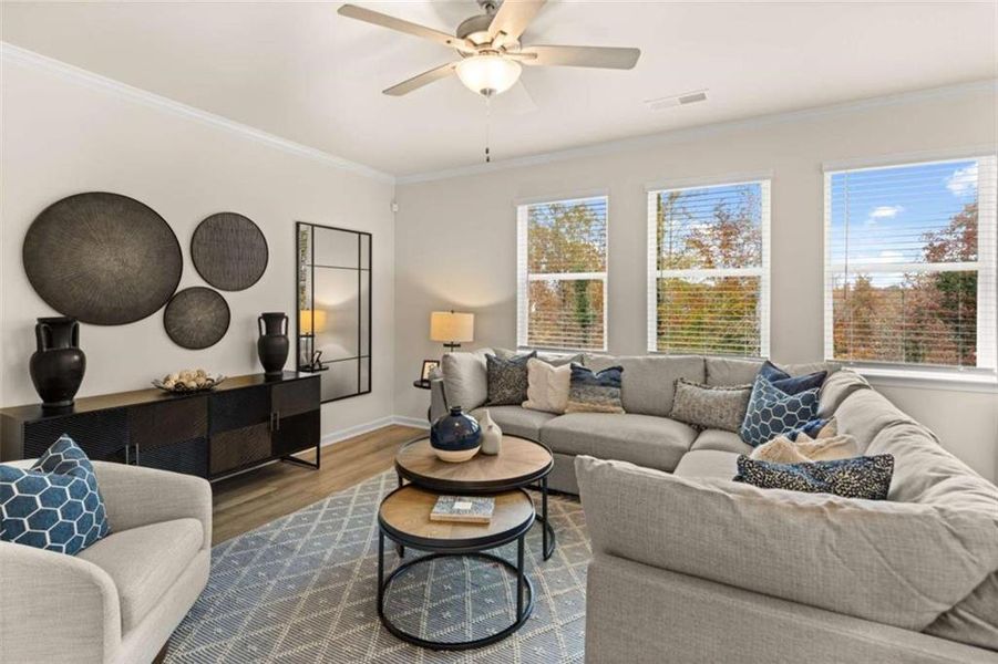 Furnished interior view inside a new home in Hillbrooke Preserve, Conyers (Image 34).