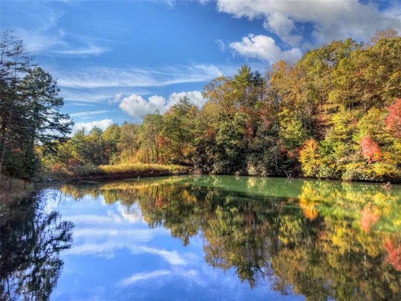 Natural landscape and outdoor views near in Ellijay (Image 41). Natural landscape and outdoor views near in Ellijay (Image 41).