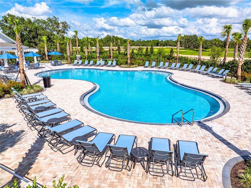 Community amenities in Palm Wind, Hudson (Image 34).