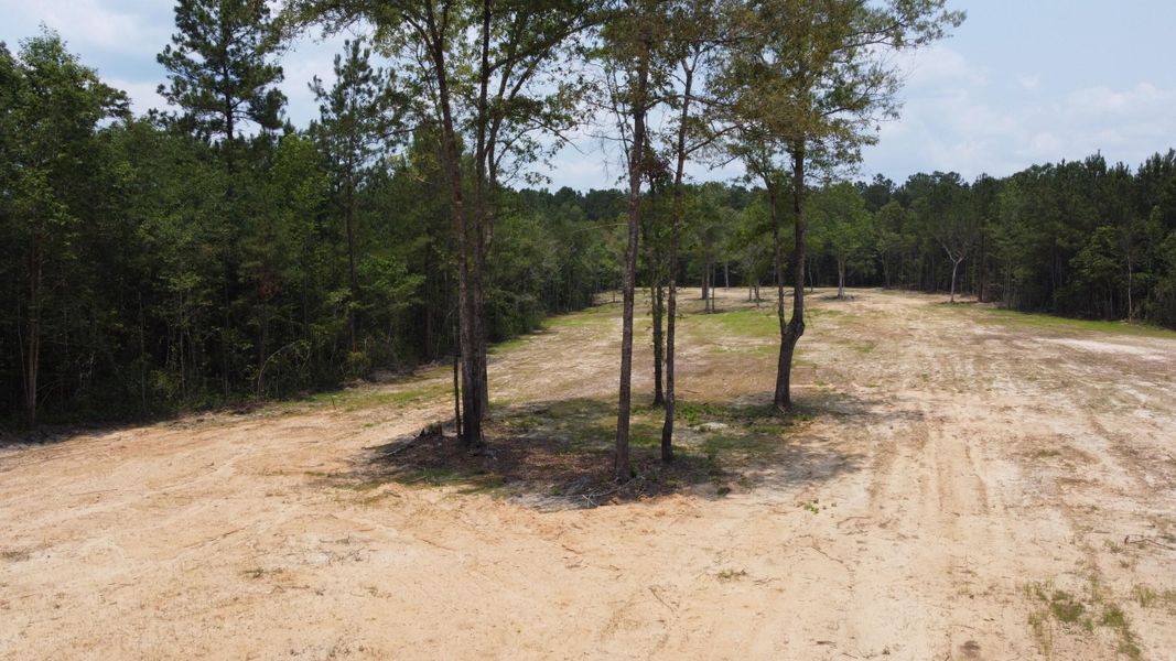 Natural landscape and outdoor views near in Huger (Image 18). Natural landscape and outdoor views near in Huger (Image 18).