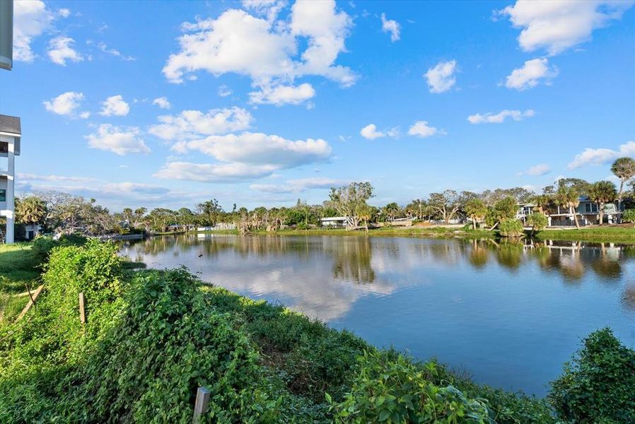 Natural landscape and outdoor views near  in Sarasota (Image 23).