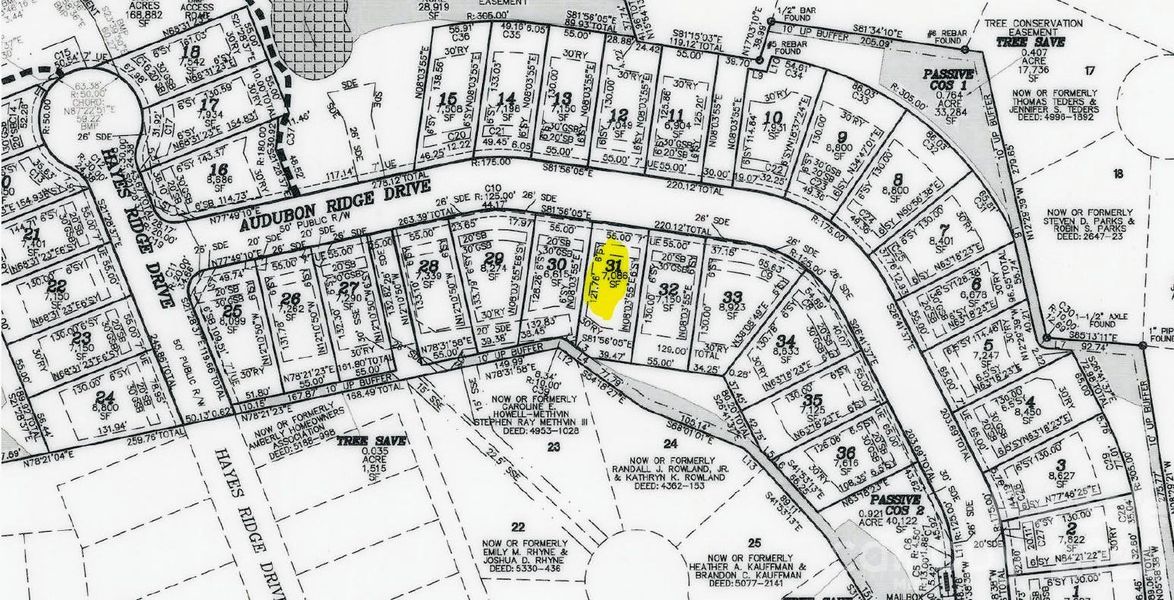 Homesite 31 offers privacy tree buffer at the rear of the site