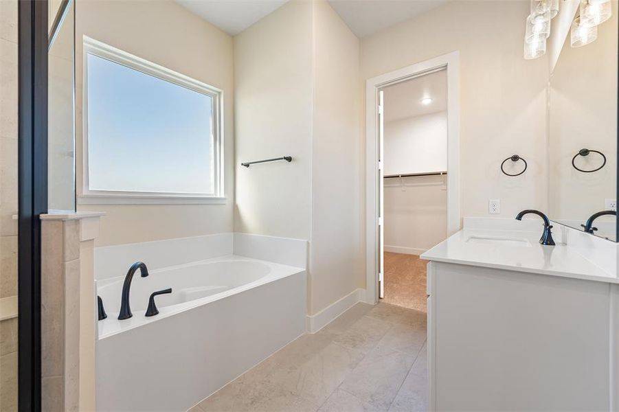Full bathroom featuring a walk in closet, a bath, double vanity, and a shower stall