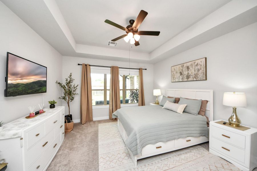 Serene primary retreat with tray ceiling detail and natural light.