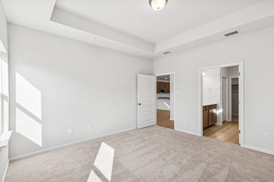 The Sparrow II- Primary Suite with Tray Ceiling