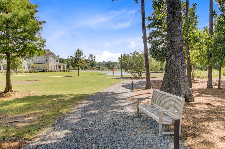 Natural landscape and outdoor views near Sweetgrass at Summers Corner in Summerville (Image 71).