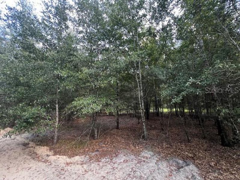 Image 33 of a home in . Image 33 of a home in .