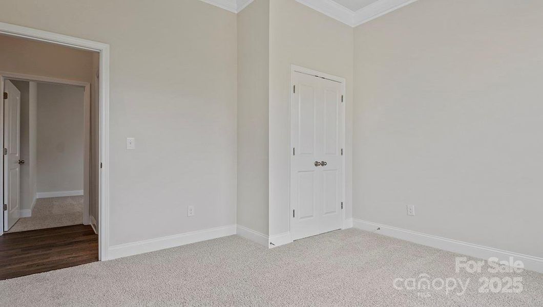 Photos are representative