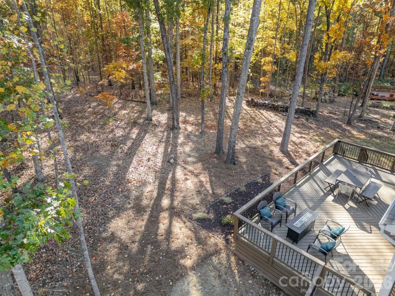 Natural landscape and outdoor views near  in Charlotte (Image 45).