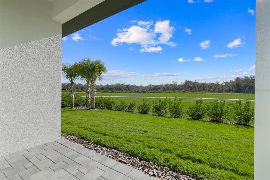 Exterior details and patio area of a home in Hampton Green at Providence, Davenport (Image 29).