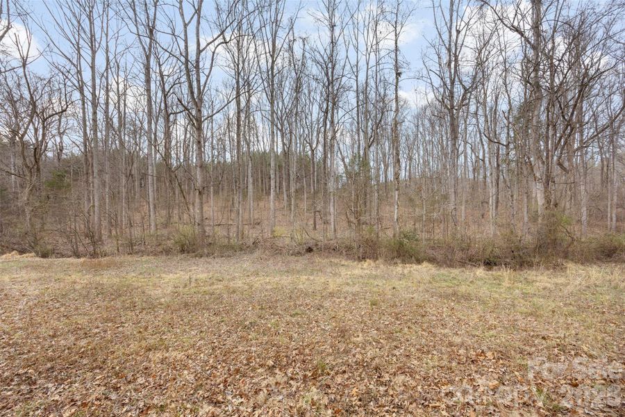Natural landscape and outdoor views near in China Grove (Image 39). Natural landscape and outdoor views near in China Grove (Image 39).