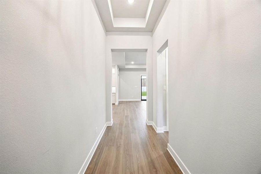 3-9263Spindletree_003 3-9263Spindletree_003