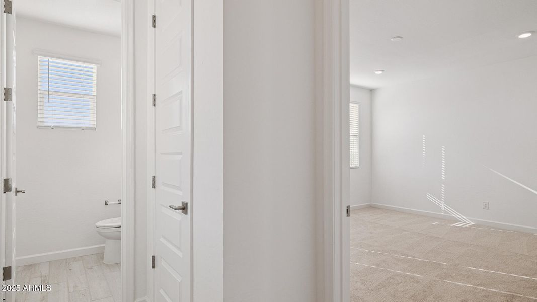 3985_Phoenician_Lot 2081_Aloravita_Peori 3985_Phoenician_Lot 2081_Aloravita_Peori