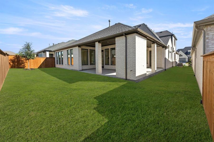 46. 3409 Alysheba - Back