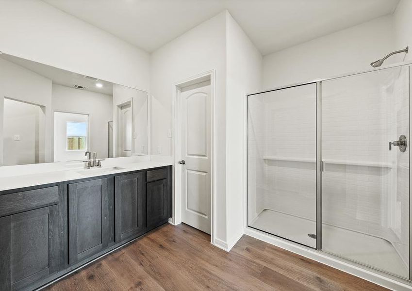 The master bathroom has a spacious vanity space.