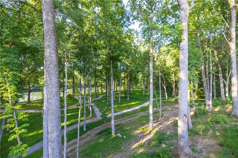 Natural landscape and outdoor views near  in Peachtree Corners (Image 39).