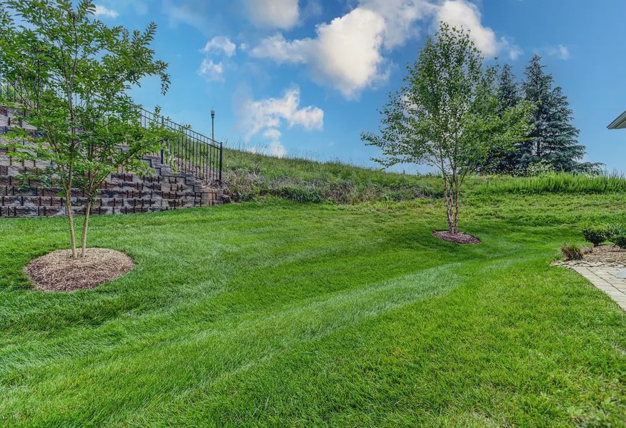 Backyard - 36 of 37 Backyard - 36 of 37