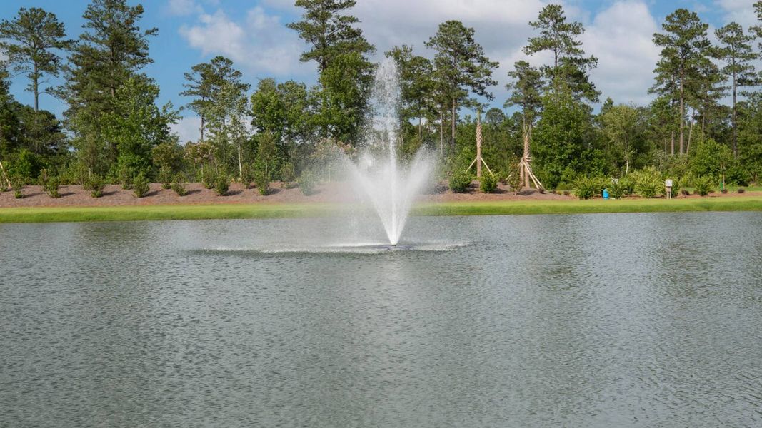 Outdoor and nature views near homes built from the Plan by D.R. Horton in Indigo Preserve, Leland (Image 7).