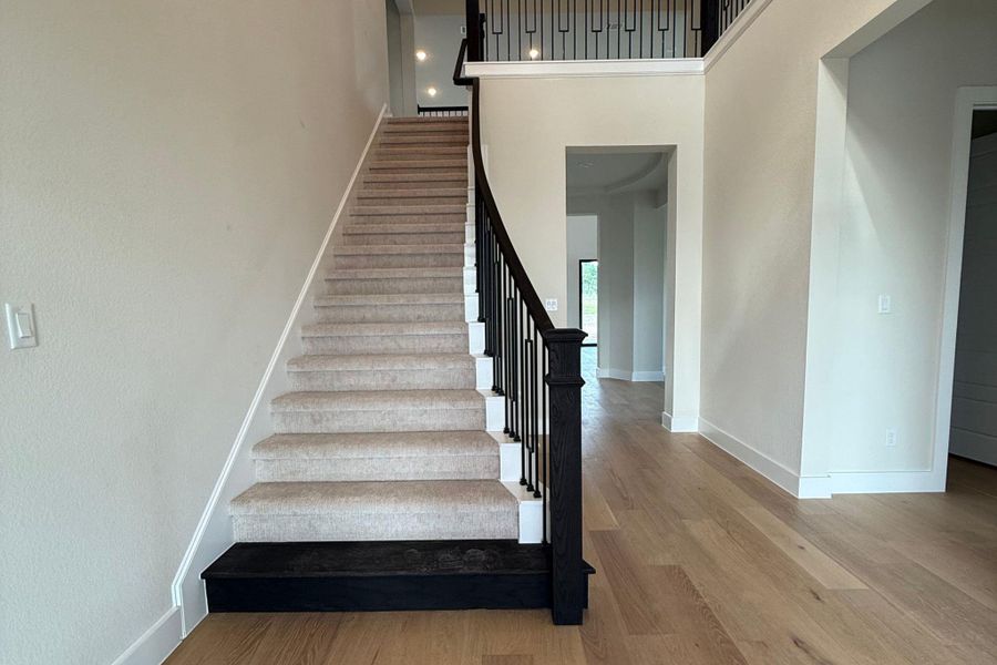 Grand staircase featuring carpeted treads, a dark wood newel post, and wrought iron balusters