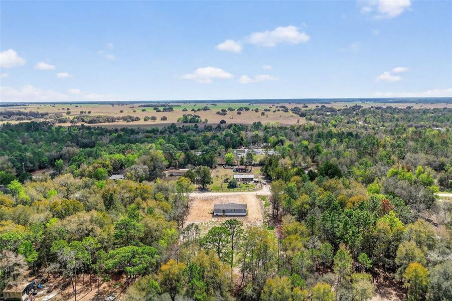 Natural landscape and outdoor views near  in Ocala (Image 33).