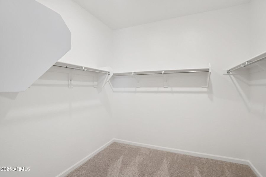 15-web-or-mls-W Camino de Oro-S2409-015