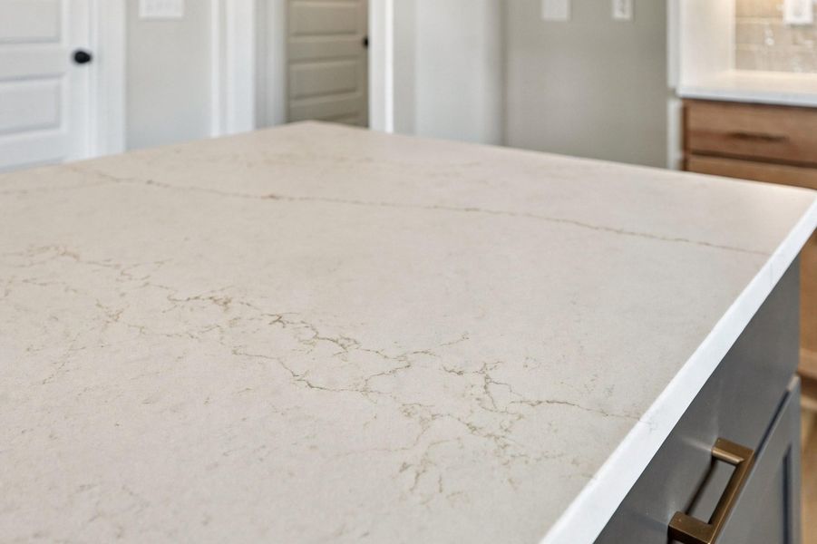 Close-up of interior finishes inside a home in Allen Park, Raleigh (Image 25).