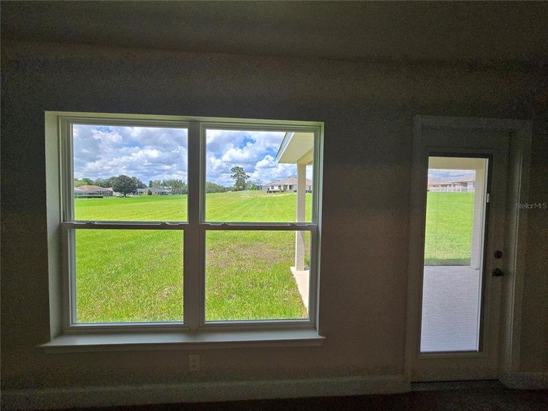 back window and back door