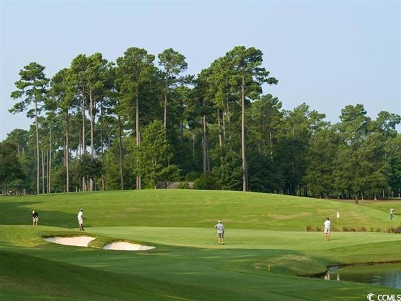 View of community featuring view of golf course, a yard, and view of scattered trees