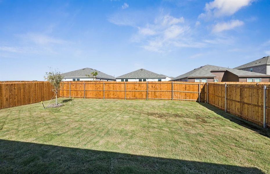 Oversized yard Oversized yard