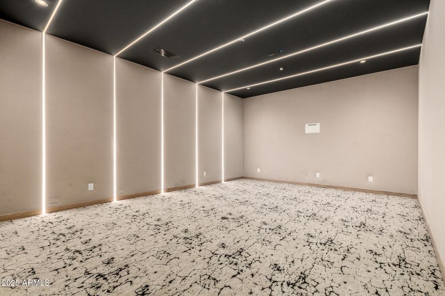 Theater/Golf Simulator