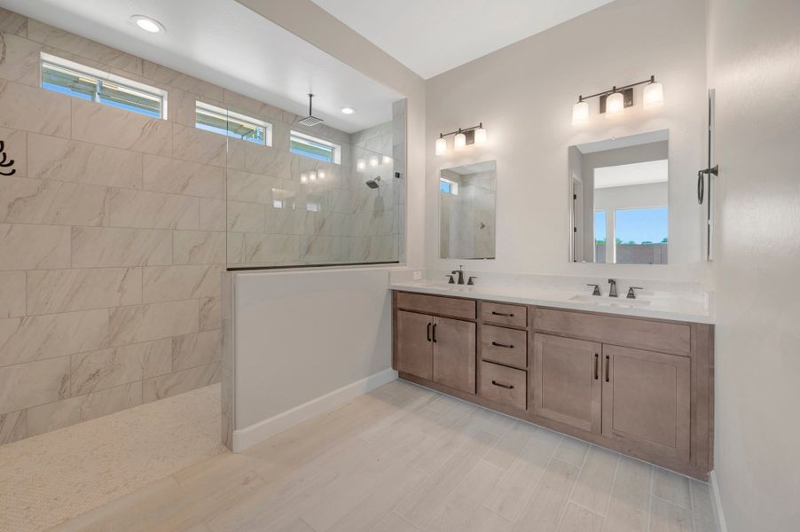 Owner's Bath