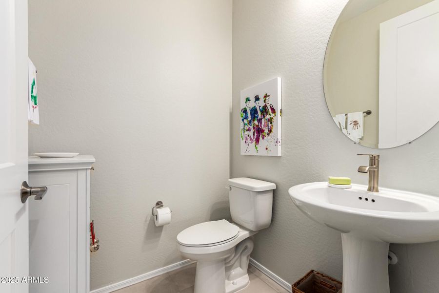 19-Cactus Wren 19-Cactus Wren