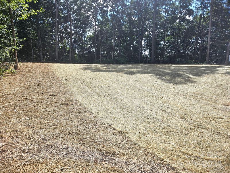 View of back yard from back of home.