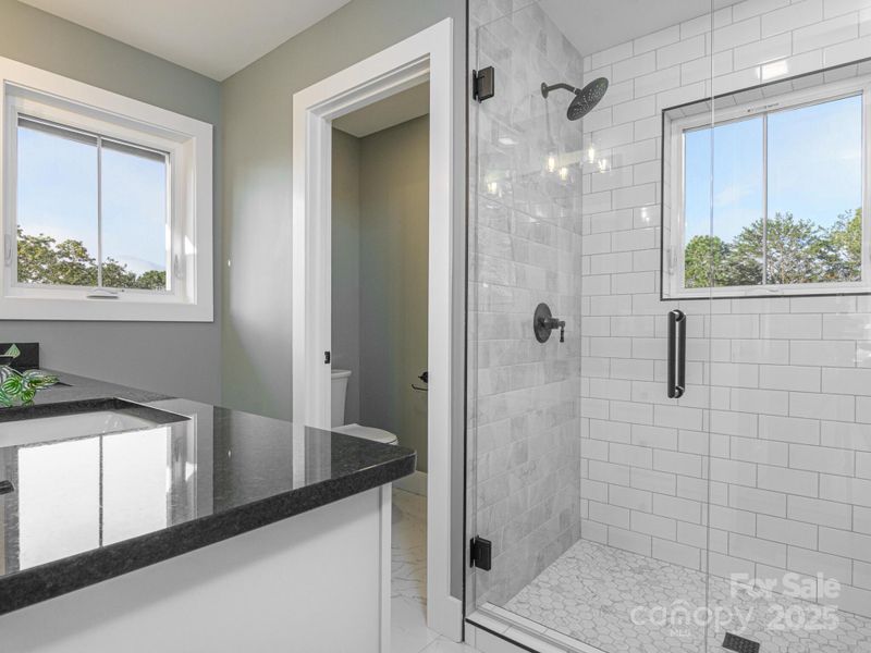 Views from the Primary Shower