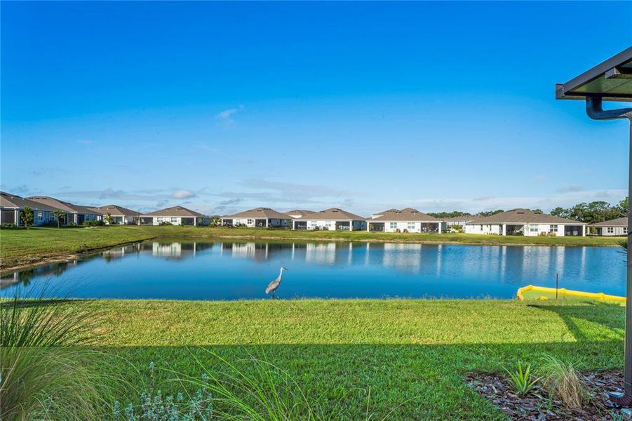 Image 54 of a home in Towns at Woodsdale.