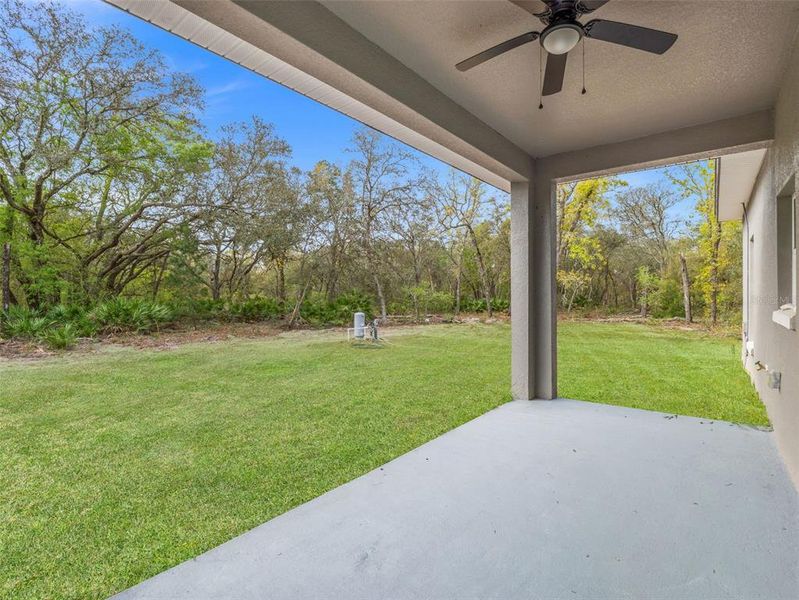 Exterior details and patio area of a home in , Ocklawaha (Image 3).