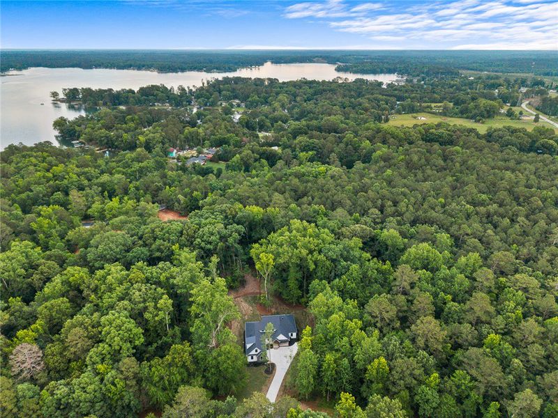 Perched among towering trees, this secluded home o Perched among towering trees, this secluded home o