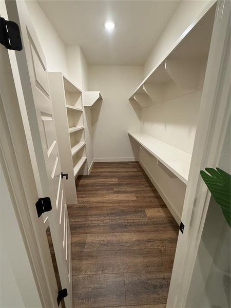 Spacious, unfurnished interior of a new home in , High Springs (Image 32).