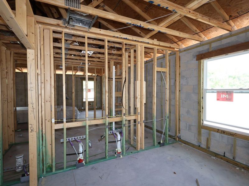 Framing Framing
