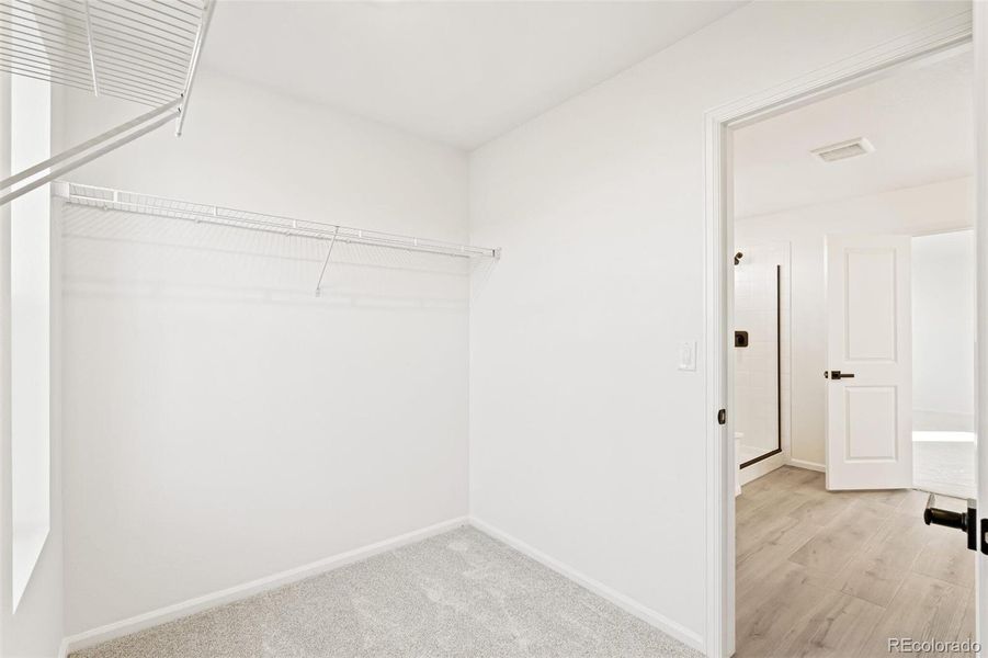 Spacious, unfurnished interior of a new home in The Nest Classic at Canyon Creek, Erie (Image 31).