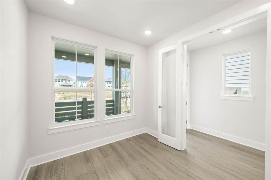 1624 Ginger- Study-1 1624 Ginger- Study-1