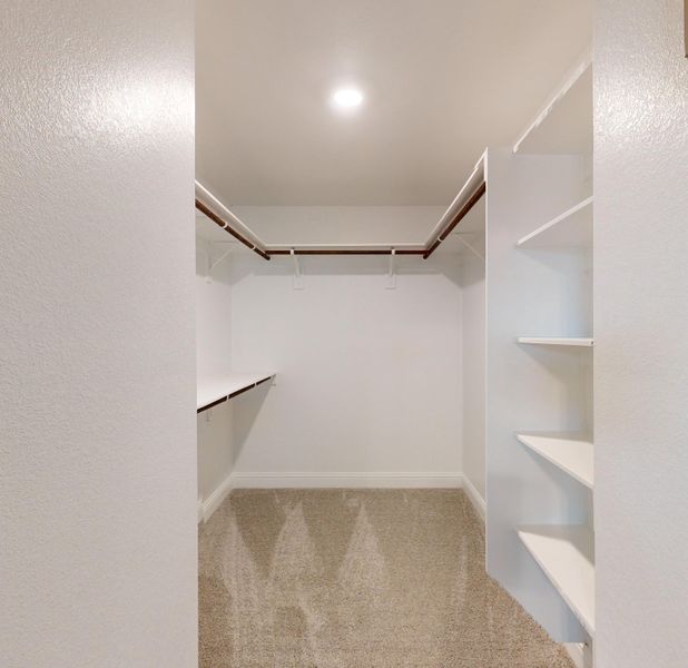 Spacious, unfurnished interior of a new home in Cypress Green, Hockley (Image 18). Spacious, unfurnished interior of a new home in Cypress Green, Hockley (Image 18).