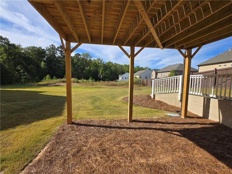 Exterior details and patio area of a home in Enclave at Logan Point, Loganville (Image 3).