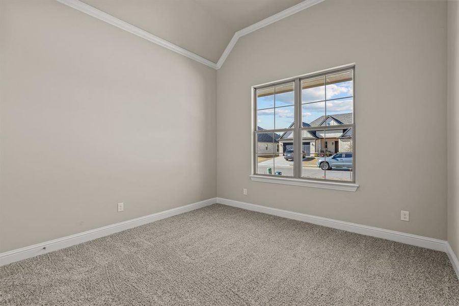 Carpeted empty room featuring ornamental molding and vaulted ceiling