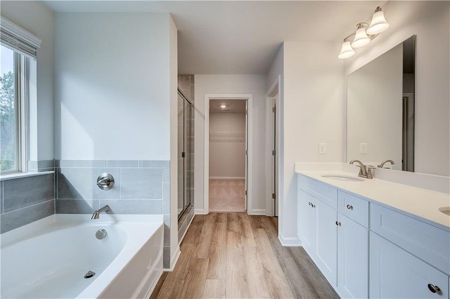 Furnished interior view inside a new home in Adagio, Dacula (Image 9).