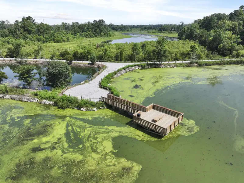 Image 37 of a home in Carolina Groves. Image 37 of a home in Carolina Groves.