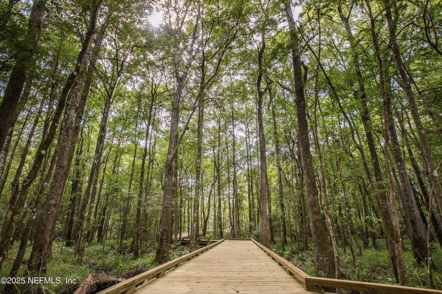 Natural landscape and outdoor views near Shearwater in St. Augustine (Image 66).