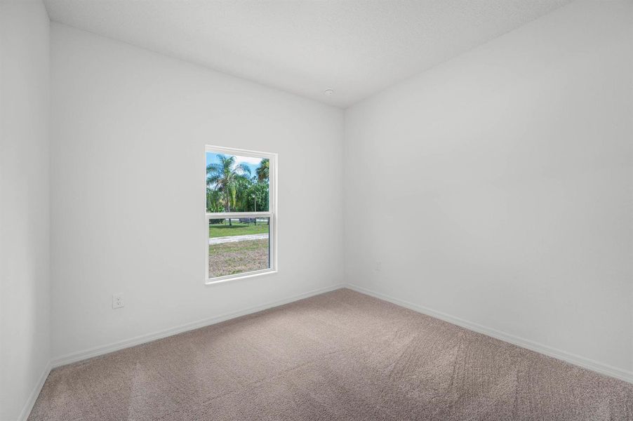 Florida_Coral_L