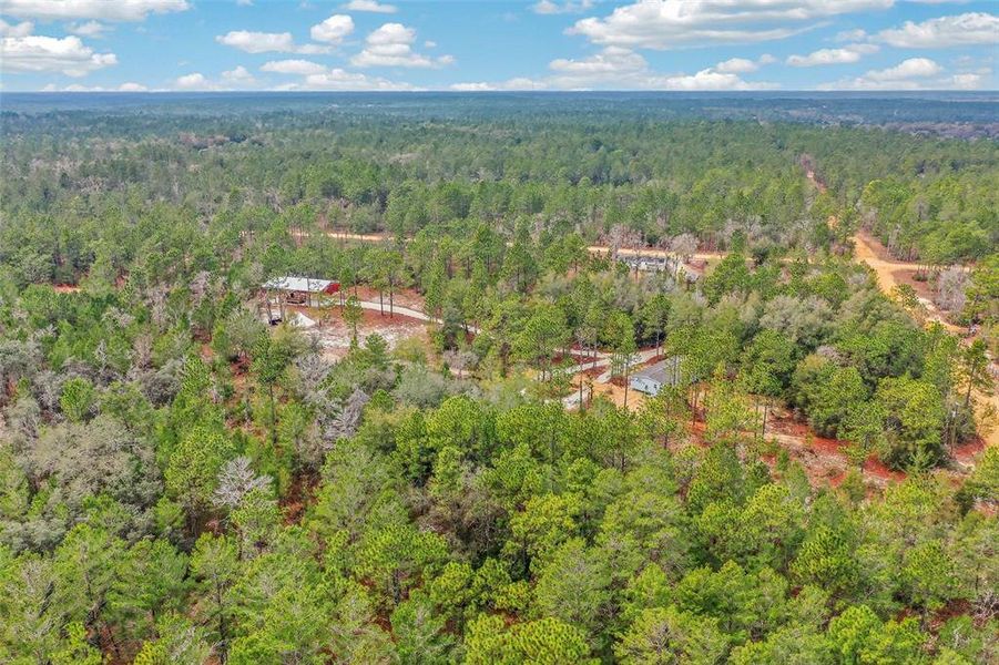 Natural landscape and outdoor views near  in Interlachen (Image 55).