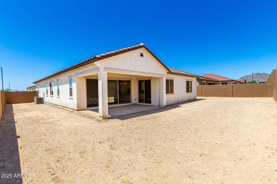 41-Hollyhock 41-Hollyhock